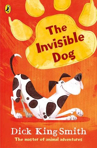 The Invisible Dog - Pack of 6 Badger Learning