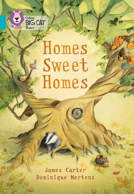 Homes Sweet Homes: Band 07/Turquoise