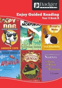 Enjoy Guided Reading Year 5 Book B Teacher Book & CD