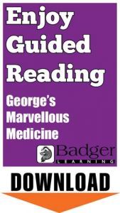 Enjoy Guided Reading: George's Marvellous Medicine Teacher Notes