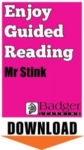 Enjoy Guided Reading: Mr Stink Teacher Notes