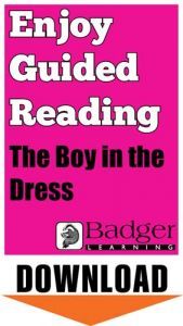 Enjoy Guided Reading: The Boy in the Dress Teacher Notes