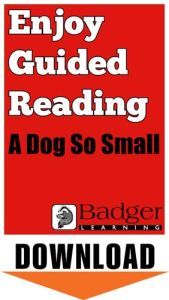 Enjoy Guided Reading: A Dog So Small Teacher Notes