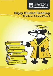 Enjoy Guided Reading Gifted & Talented Year 3 Teacher Book & CD