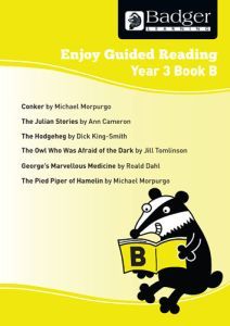 Enjoy Guided Reading Year 3 Book B Teacher Book