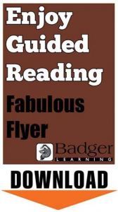 Enjoy Guided Reading: Fabulous Flyer Teacher Notes