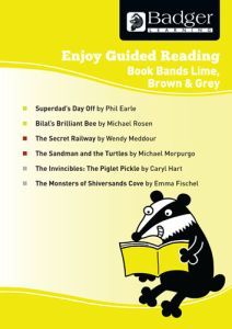 Enjoy Guided Reading KS2 Book Bands: Year 3 Lime, Brown & Grey Teacher Book