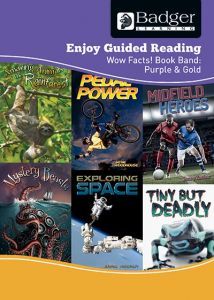 Enjoy Guided Reading Non-Fiction Purple and Gold Level Teacher Book + CD