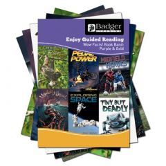 Enjoy Guided Reading Non-Fiction Purple and Gold Book Band Pack