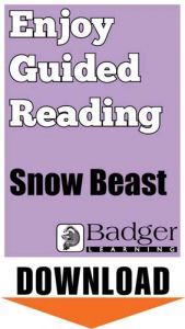 Enjoy Guided Reading: Snow Beast Teacher Notes