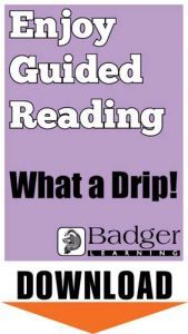 Enjoy Guided Reading: What a Drip! Teacher Notes
