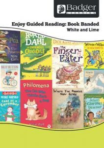 Enjoy Guided Reading Book Band - White and Lime Teacher Book & CD
