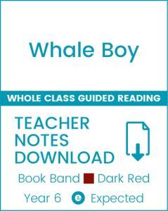 Enjoy Whole Class Guided Reading: Whale Boy Teacher Notes