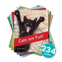 Reading Stars Phonics Phase 4 Pack (6 of each book)