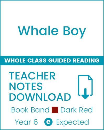 Enjoy Whole Class Guided Reading: Whale Boy Teacher Notes