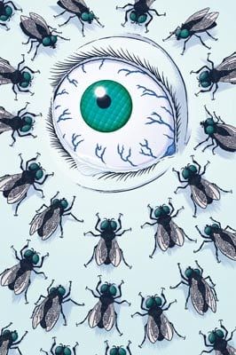 Queen of Flies by Tim Collins