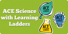 ACE Science Assessment: Top Tips for Using Learning Ladders